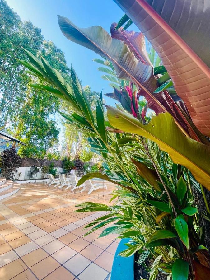 Beachview Apartments At Villa Paradiso Palm Cove Exterior foto
